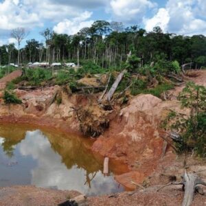 Amazon Rainforest