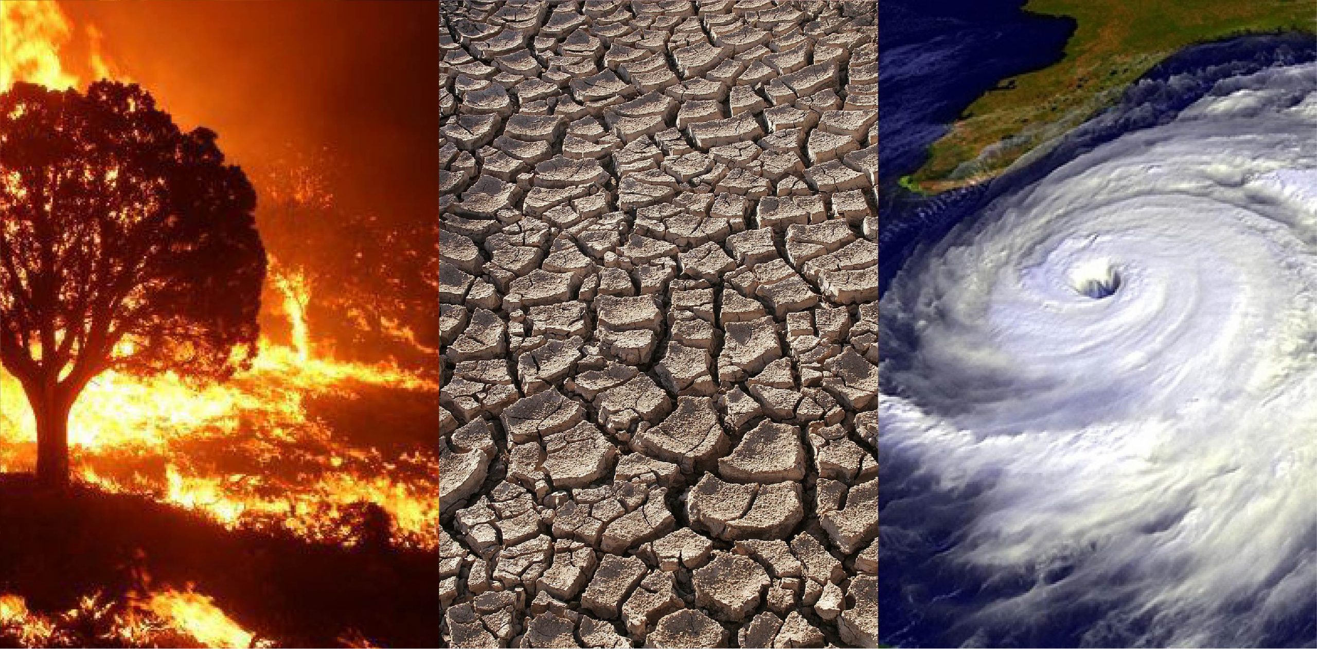 A wildfire, drought, and a typhoon