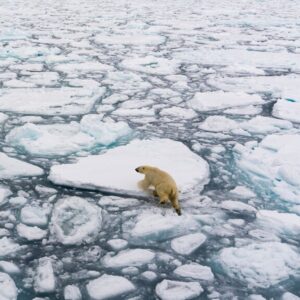 Melting Arctic ice sheets