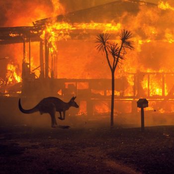 A wildfire in Australia